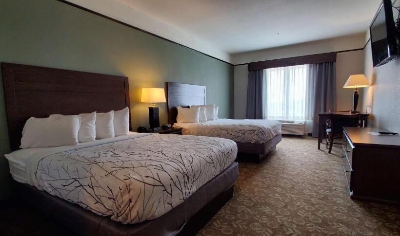 标准间, Best Western Plus Emory At Lake Fork Inn & Suites