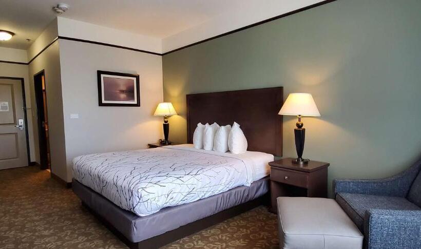 带大床的标准间, Best Western Plus Emory At Lake Fork Inn & Suites