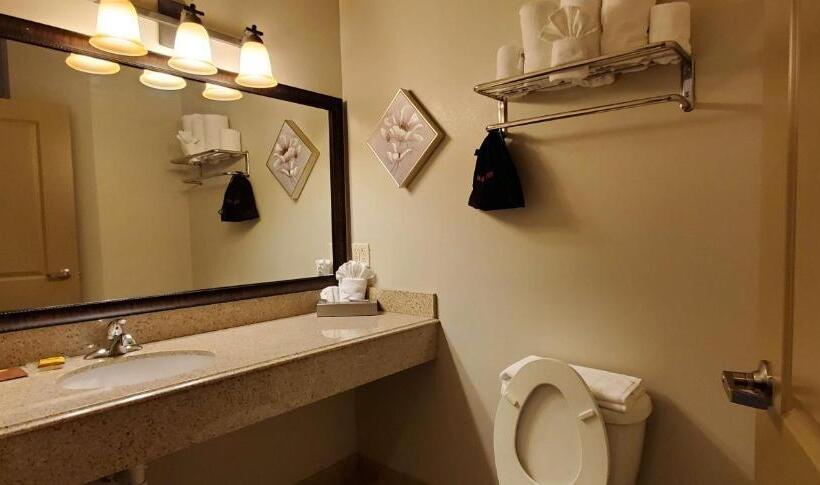 带大床的标准间, Best Western Plus Emory At Lake Fork Inn & Suites