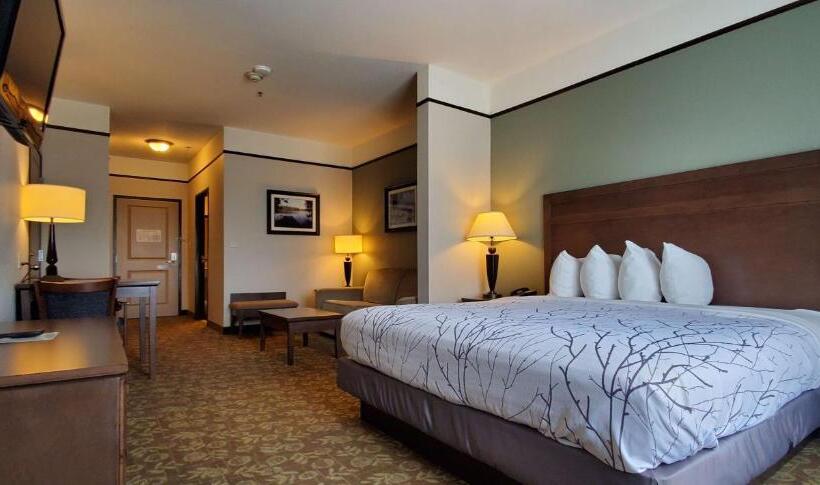 套房, Best Western Plus Emory At Lake Fork Inn & Suites