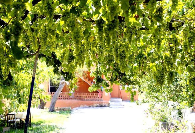 اتاق خانوادگی, Rose Hotel B&b