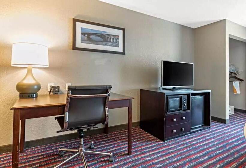 Люкс Адаптированный для Инвалидов, Comfort Suites