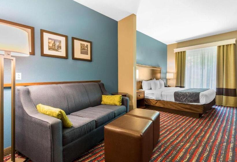 Люкс Кровать Кинг, Comfort Suites