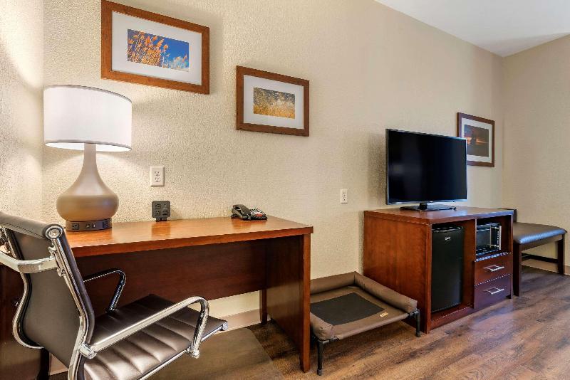 带大床的套房, Comfort Suites Fernley