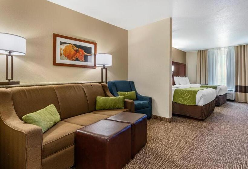 小型套房, Comfort Suites Fernley