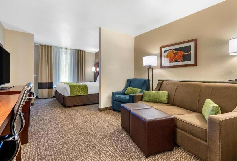 带大床的套房, Comfort Suites Fernley
