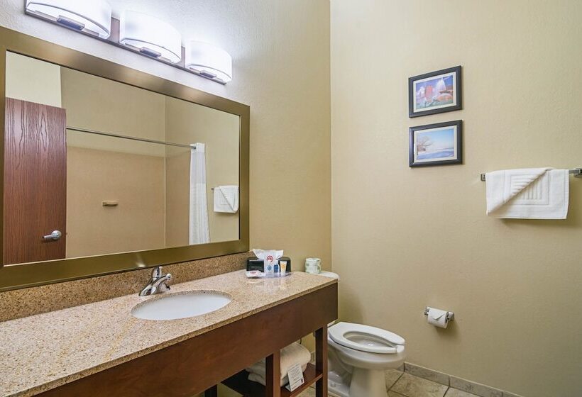 スイート, Comfort Suites Grayslake Near Libertyville North