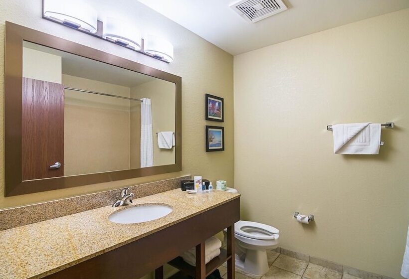 Suíte, Comfort Suites Grayslake Near Libertyville North