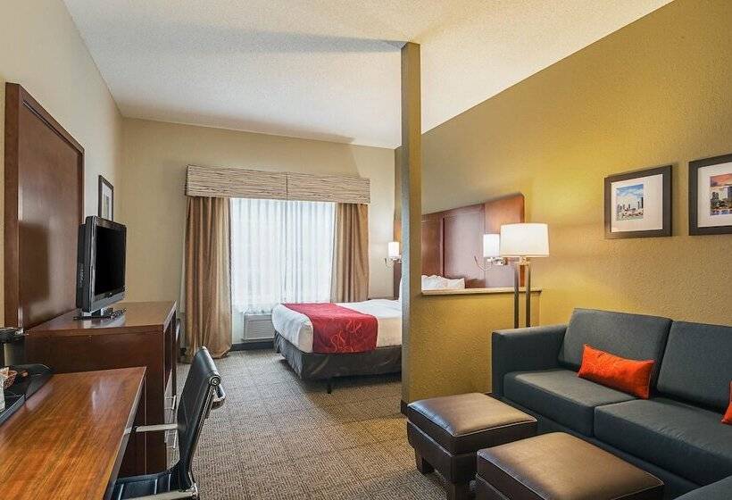 身障者適用スイートルーム, Comfort Suites Grayslake Near Libertyville North