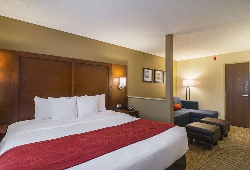 Suíte para Deficientes Físicos, Comfort Suites Grayslake Near Libertyville North
