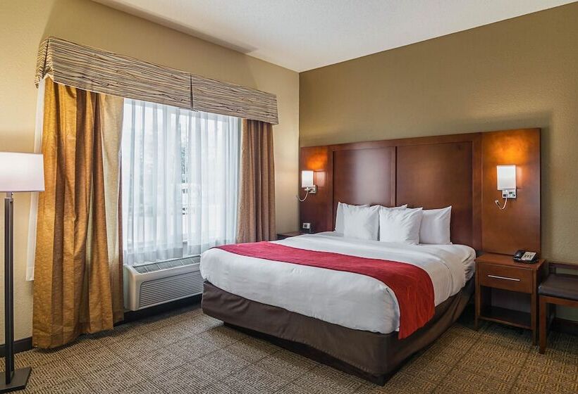 身障者適用スイートルーム, Comfort Suites Grayslake Near Libertyville North