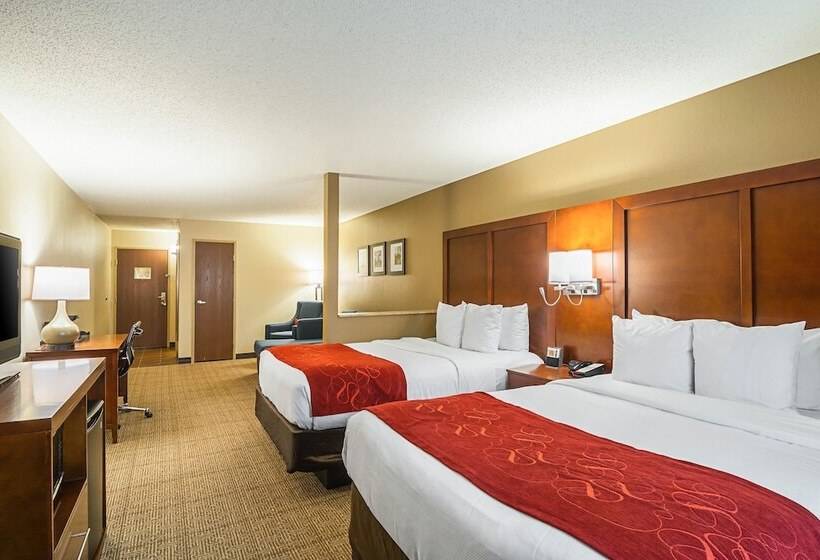 Suíte para Deficientes Físicos, Comfort Suites Grayslake Near Libertyville North