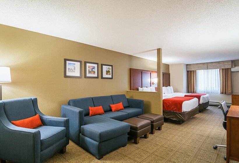 Suíte, Comfort Suites Grayslake Near Libertyville North