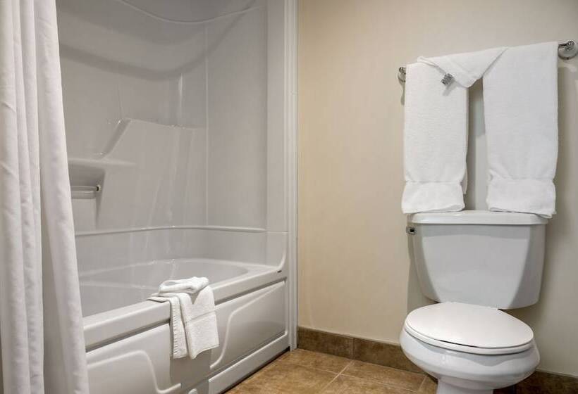 스탠다드 룸 더블 침대 2개, Econo Lodge Inn & Suites