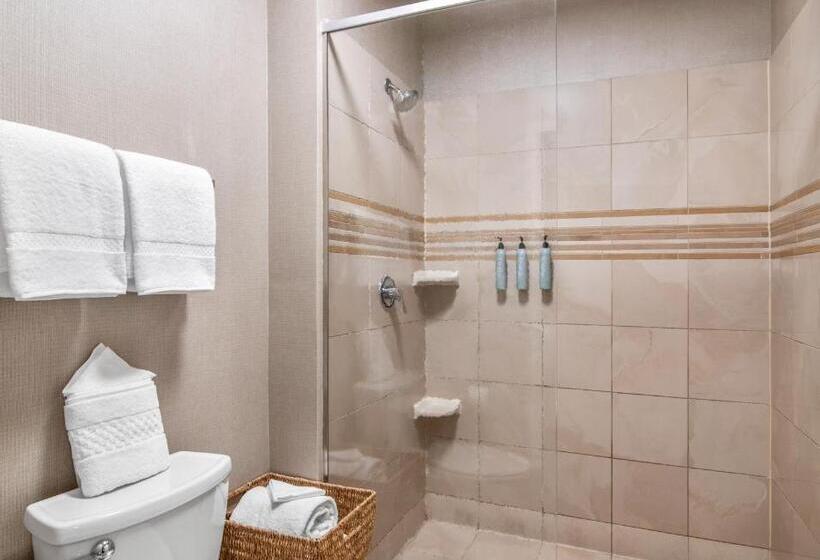 Студио Стандарт Кровать Кинг, Residence Inn Phoenix Glendale Sports & Entertainment District