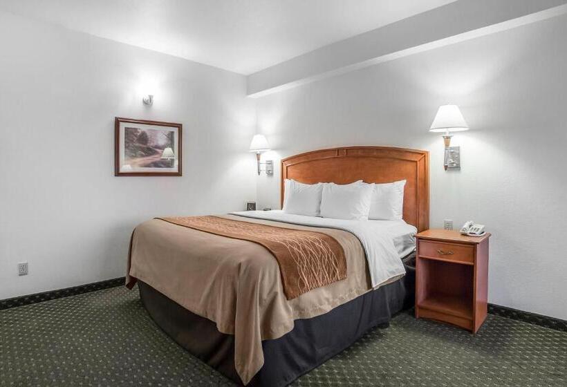 Стандартный Номер Кровать Кинг, Comfort Inn & Suites