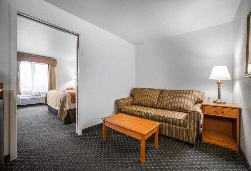 Номер Стандарт Кровать Кинг Адаптированный для Инвалидов, Comfort Inn & Suites