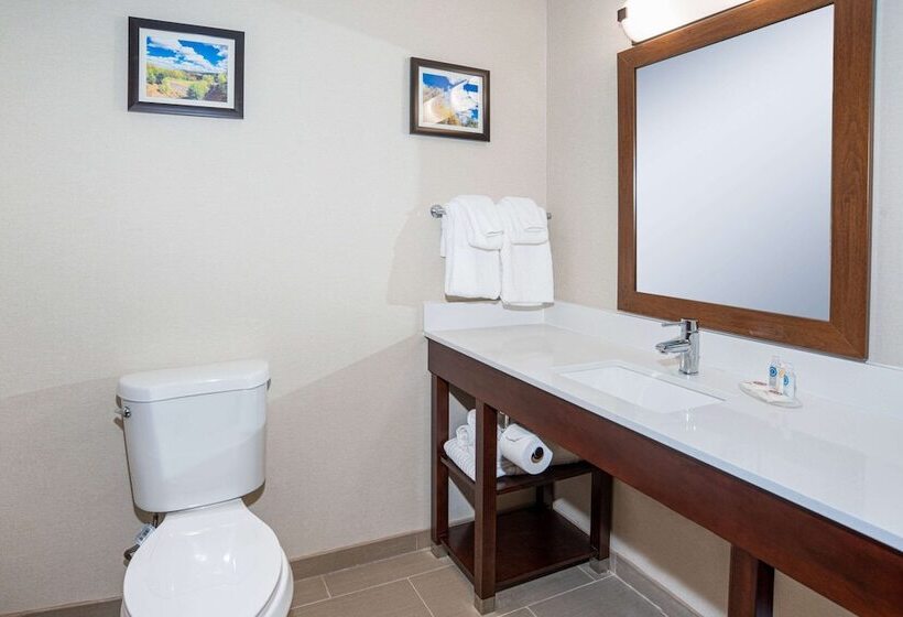 Номер Стандарт, Comfort Inn Naugatuck Shelton, Ct
