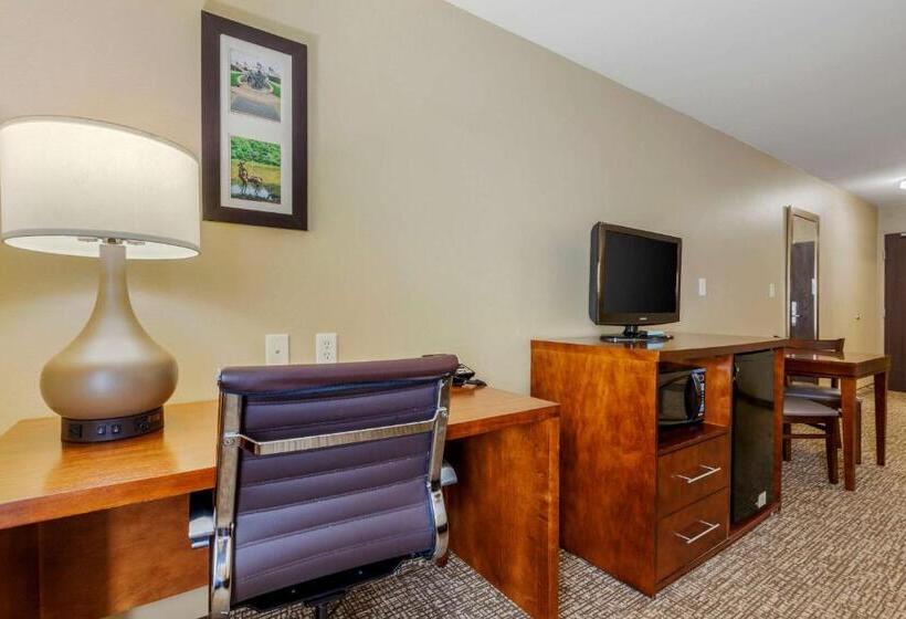 Люкс Кровать Кинг, Comfort Inn Ploverstevens Point