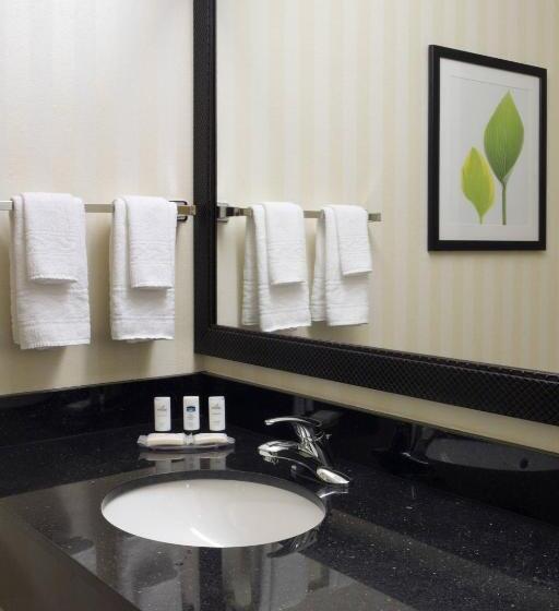 Номер Стандарт Кровать Кинг Адаптированный для Инвалидов, Fairfield By Marriott Tacoma Puyallup