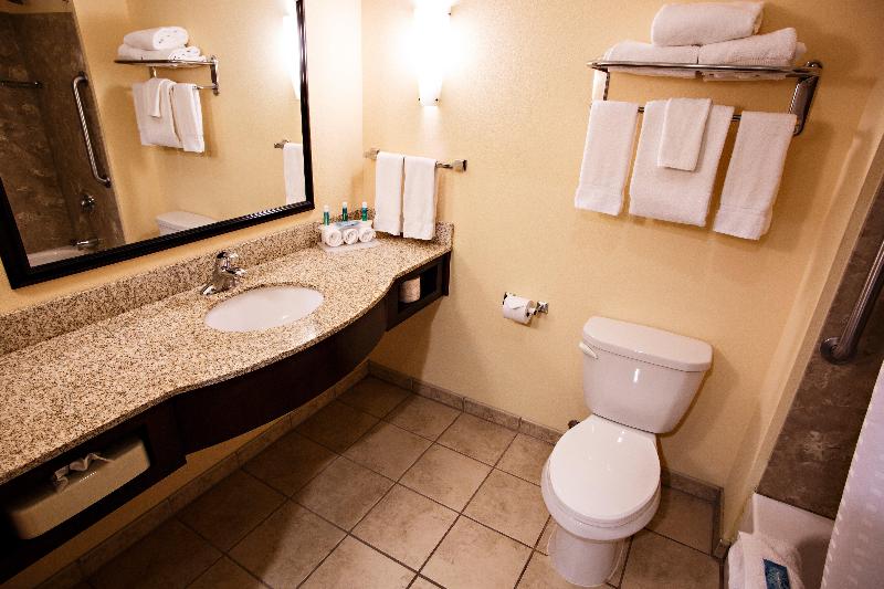 이그제큐티브 스위트, Holiday Inn Express Harrisburg West, An Ihg