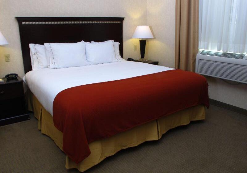 Номер Стандарт Кровать Кинг Адаптированный для Инвалидов, Holiday Inn Express Salt Lake City South   Midvale, An Ihg