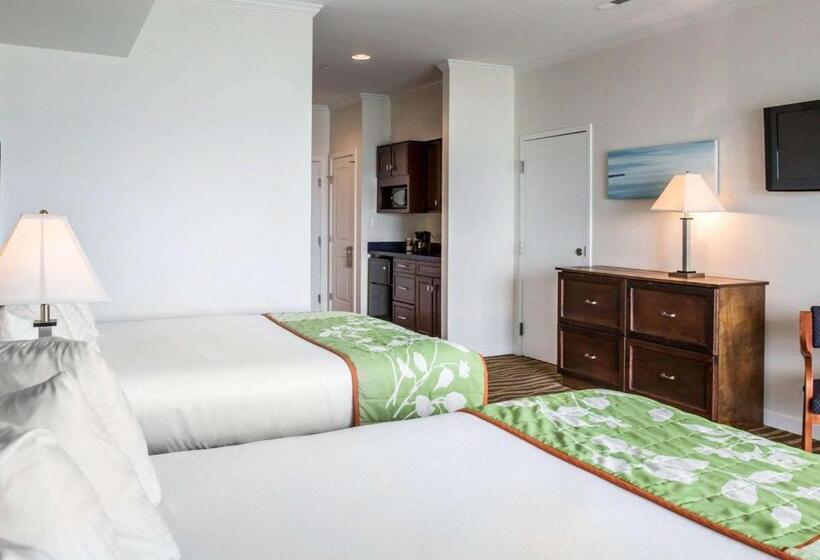 Номер Стандарт, Island Inn & Suites, Ascend Hotel Collection