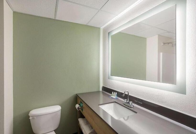 장애인을 위한 스탠다드 룸, Quality Inn & Suites