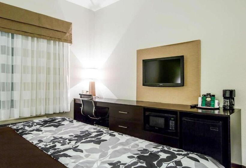 스탠다드 룸 킹사이즈 침대, Sleep Inn & Suites Marion  Military Institute