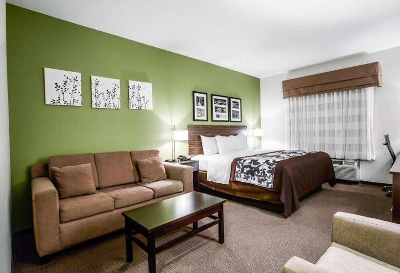 스위트 킹사이즈 침대, Sleep Inn & Suites Marion  Military Institute