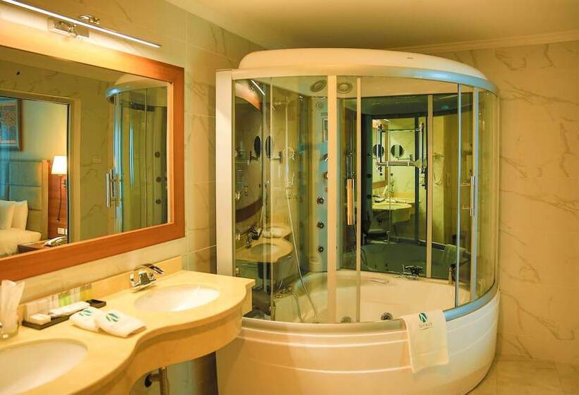 اتاق کلاس بیزنس, Swiss Inn Nexus