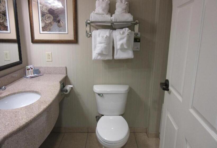 Deluxe Kamer met Kingsize Bed, Wingate By Wyndham Charleston Southern University