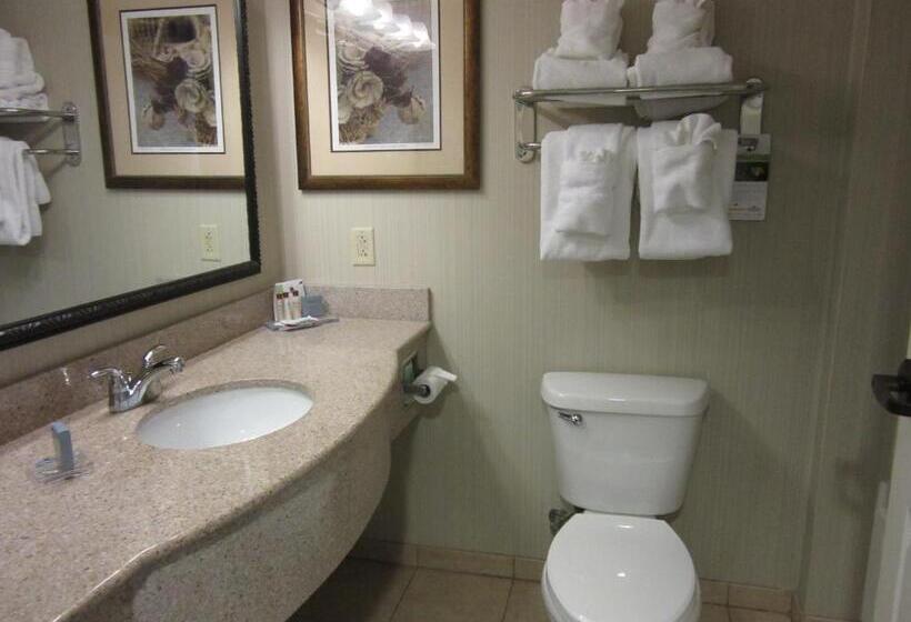Deluxe Suite King-Size Franciággyal, Wingate By Wyndham Charleston Southern University