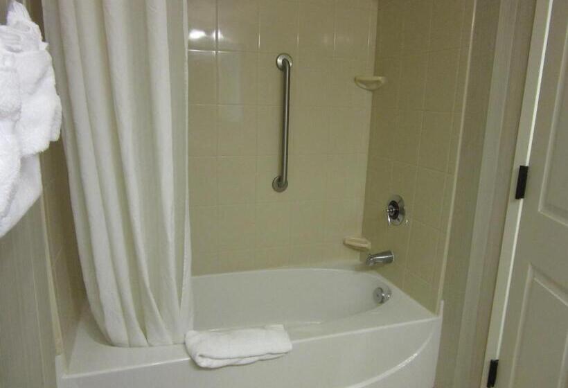 Deluxe Suite met Kingsize Bed, Wingate By Wyndham Charleston Southern University