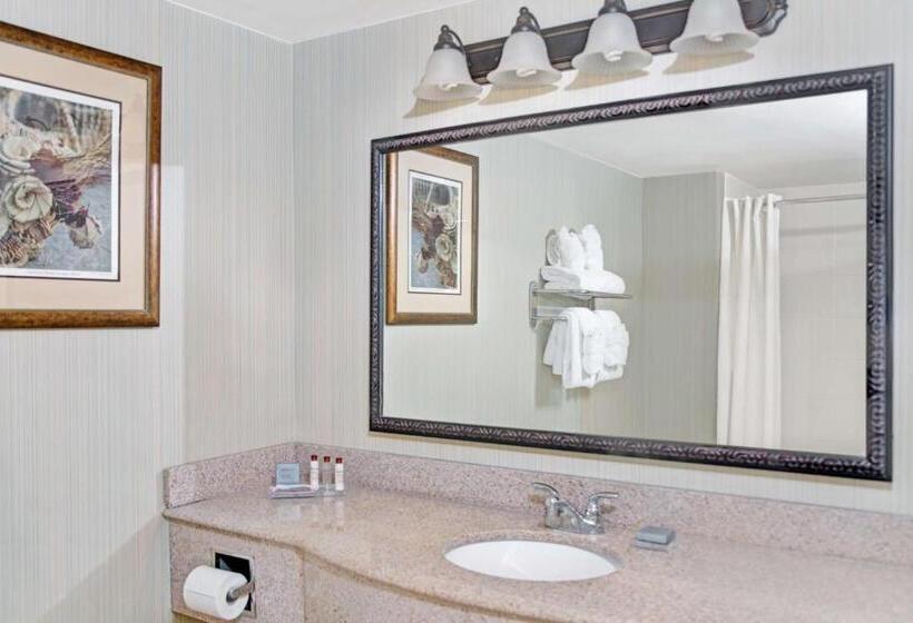 Standard Szoba, Wingate By Wyndham Charleston Southern University