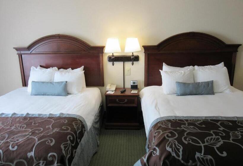 StandaardKamer, Wingate By Wyndham Charleston Southern University