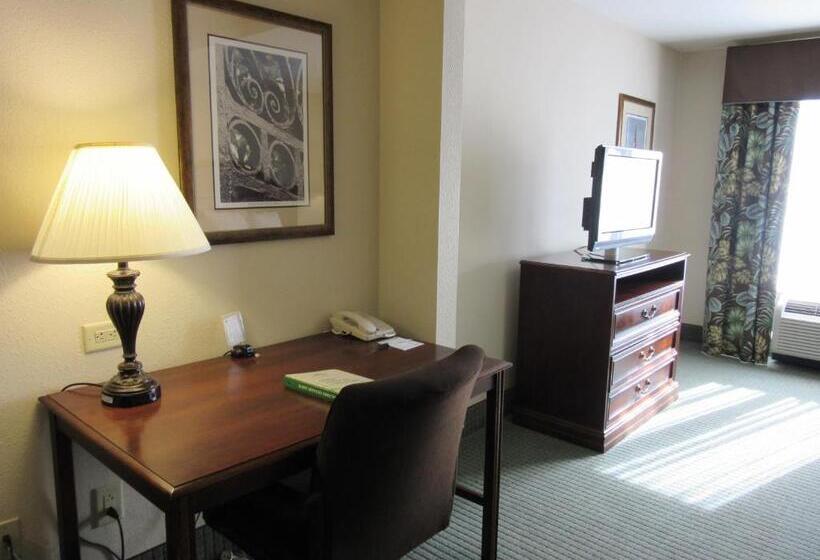 Standaardkamer met Kingsize Bed, Wingate By Wyndham Charleston Southern University