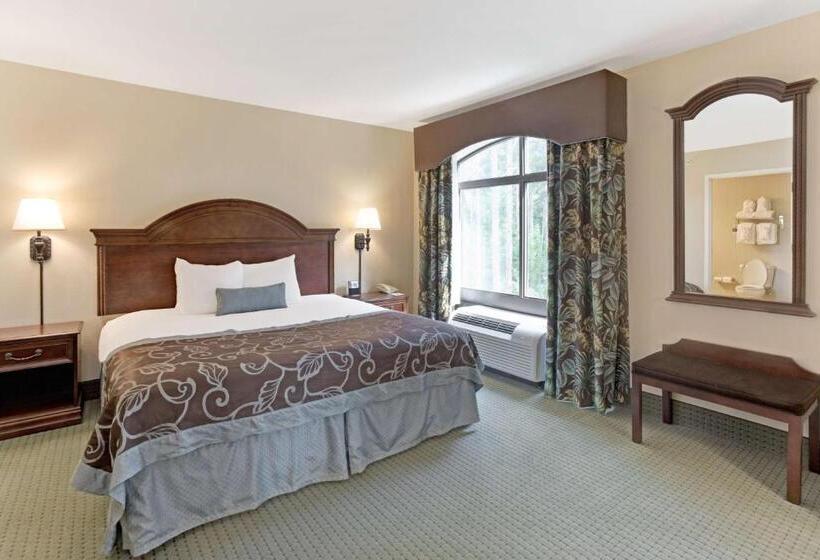 Standaardkamer met Kingsize Bed, Wingate By Wyndham Charleston Southern University