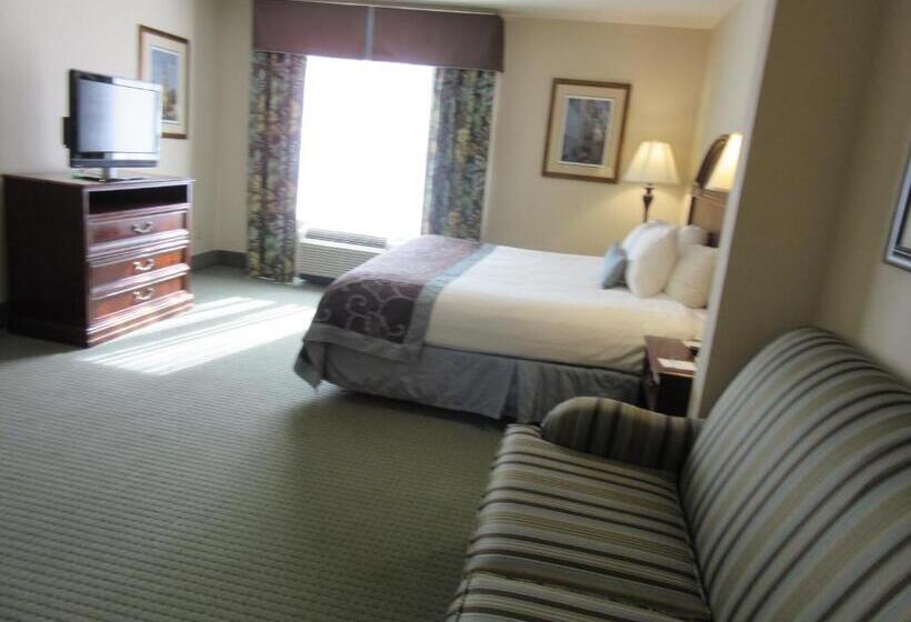 Standard Szoba King Size Bed, Wingate By Wyndham Charleston Southern University