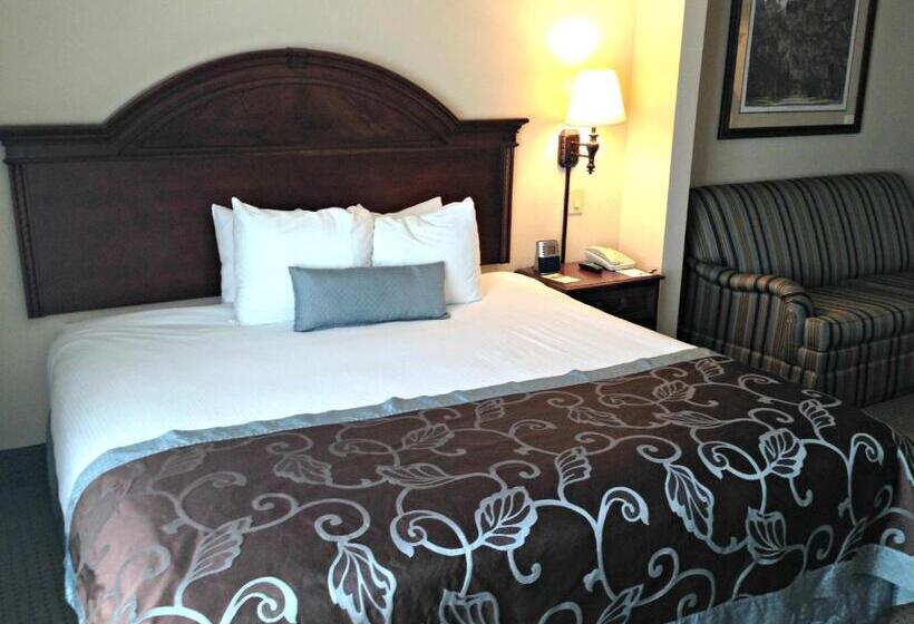 Standaardkamer met Kingsize Bed, Wingate By Wyndham Charleston Southern University