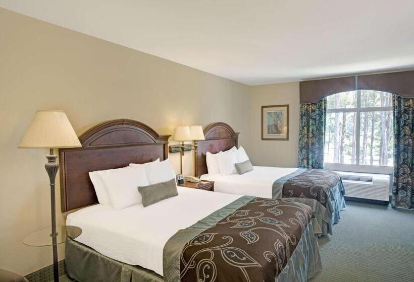 Mozgáskorlátozott Deluxe Szoba, Wingate By Wyndham Charleston Southern University