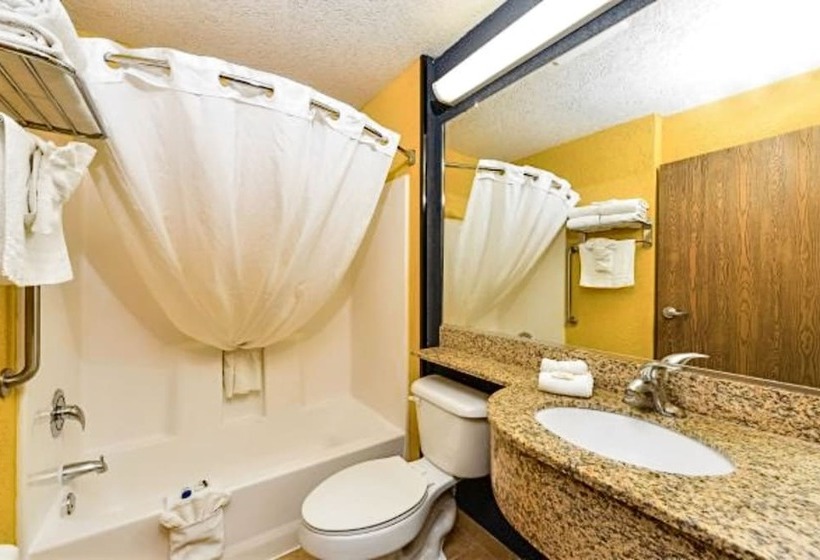 Студия Стандарт, Microtel Inn & Suites By Wyndham New Braunfels I 35