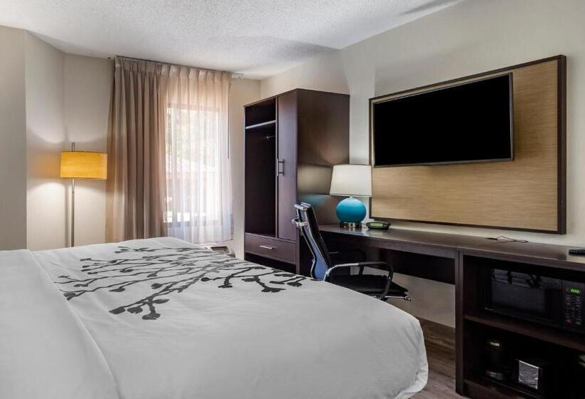 Номер Стандарт Адаптированный для Инвалидов, Sleep Inn  Salisbury I85