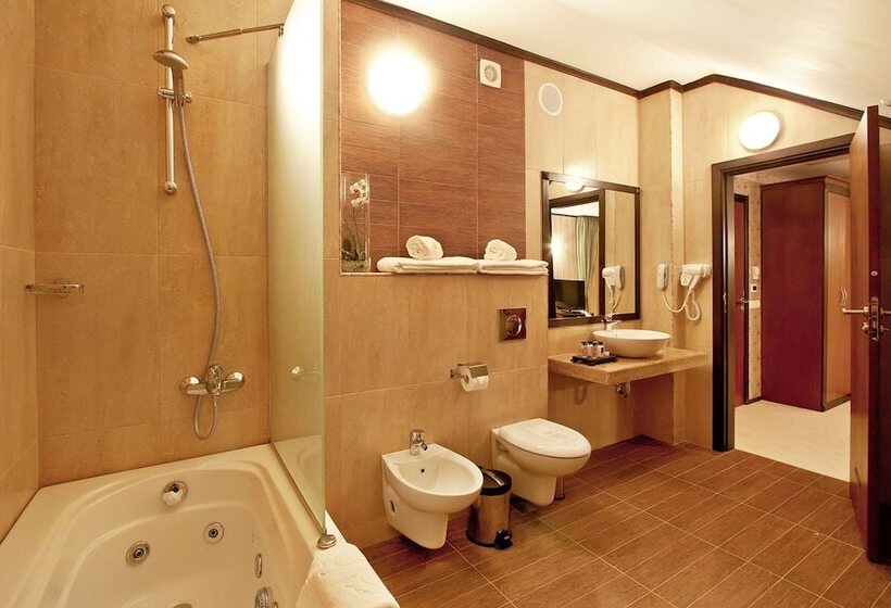 Полулюкс, Best Western Plus Bristol