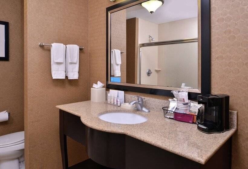Студия Стандарт Двуспальная Кровать, Hampton Inn & Suites Woodward