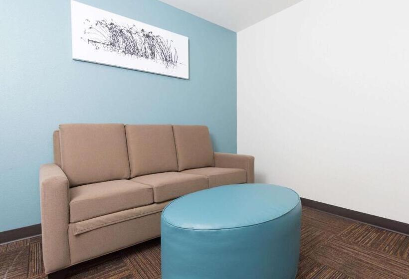 带大床的套房, Sleep Inn & Suites Washington Near Peoria