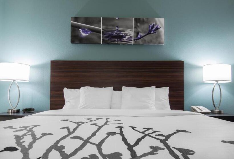 适合残疾人士使用的带超级大床的标准间, Sleep Inn & Suites Washington Near Peoria