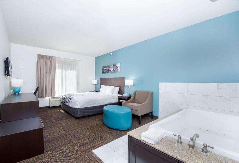 适合残疾人士使用的套间, Sleep Inn & Suites Washington Near Peoria