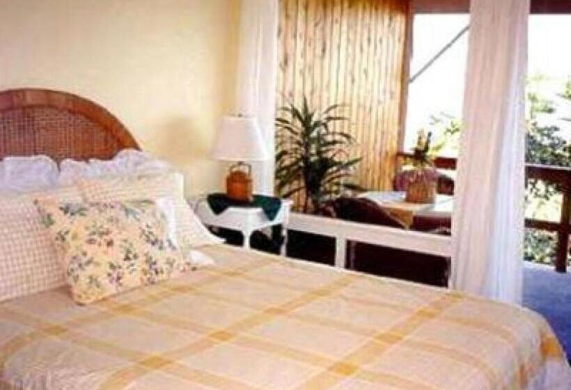 컴포트 트리플 룸, Halehoola B & B