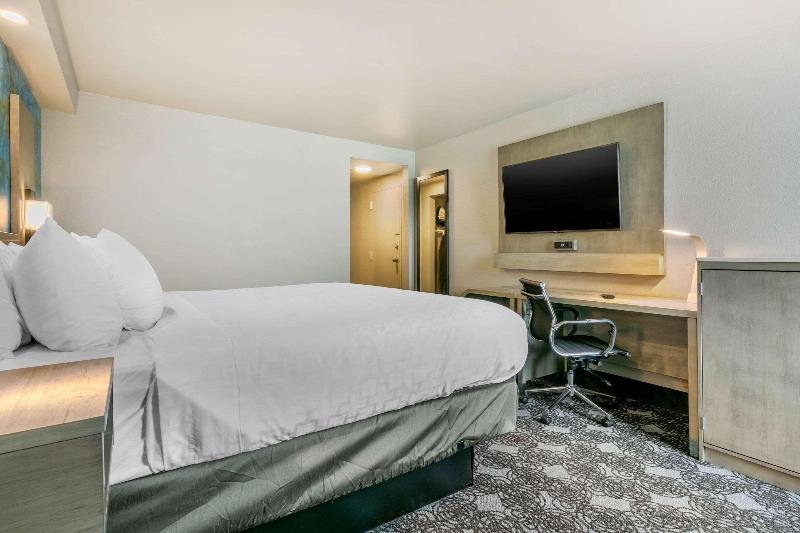 اتاق استاندارد برای معلولان, Holiday Inn London Luton Airport, An Ihg